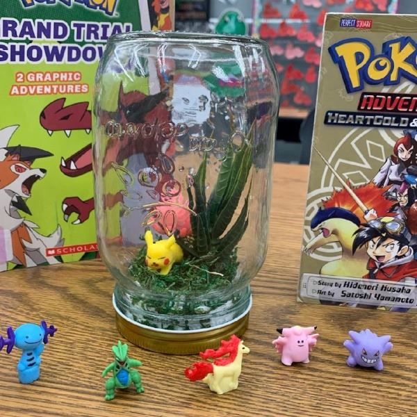 Teen DIY 2022 Pokémon Terrariums