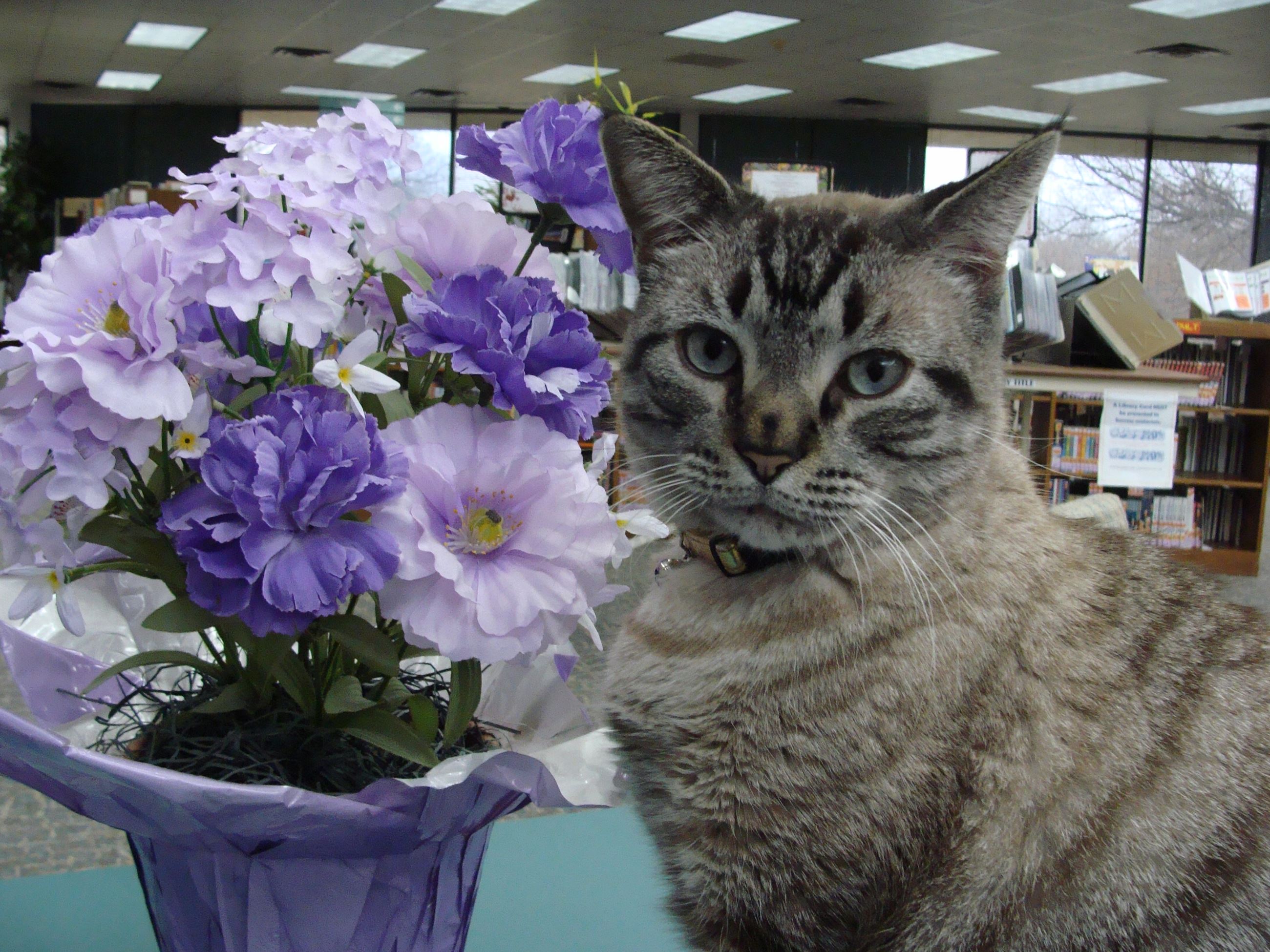 Browser with blue flowers