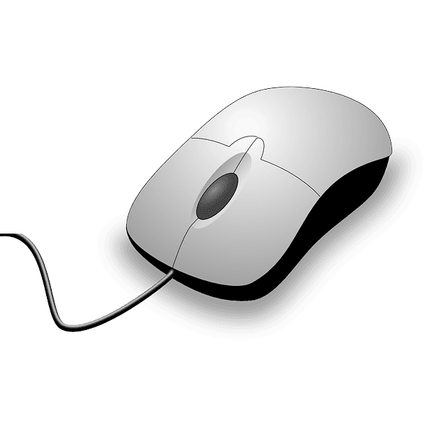 computer mouse