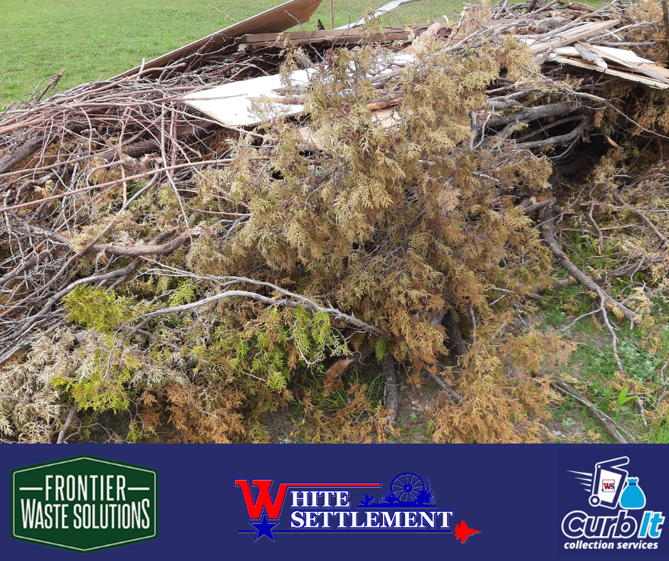 picture of a pile of limbs